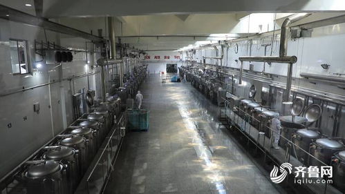 濰坊市坊子區(qū)食品安全產(chǎn)業(yè)聯(lián)盟 技術(shù)開發(fā)助力企業(yè)質(zhì)效提升，定向解難題200多項